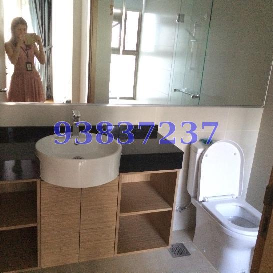 The Waterline (D19), Condominium #66757812